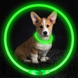 Neon Glowing Pets Safety Collar