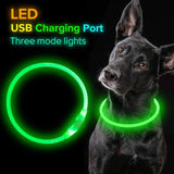 Neon Glowing Pets Safety Collar